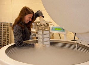 液氮冷凍機(jī)